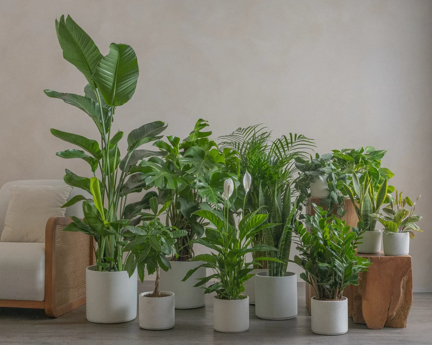 Enhance Your  Lifestyle