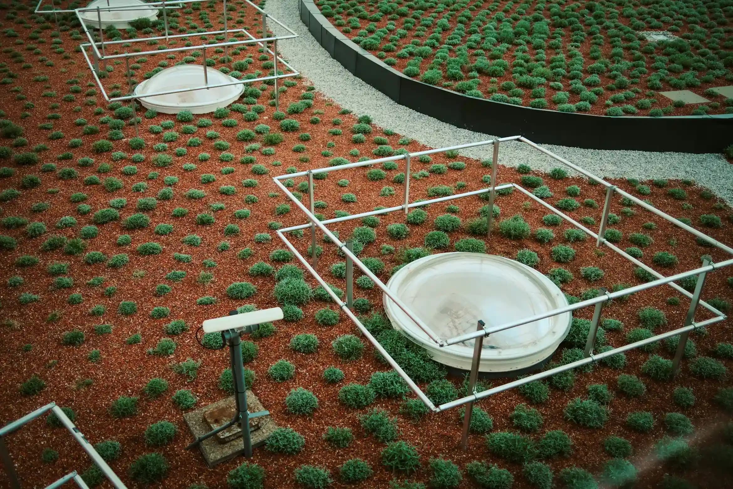 Single-Span Greenhouse